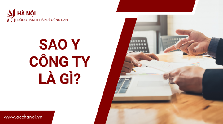 Sao y cong ty la gi 1 1