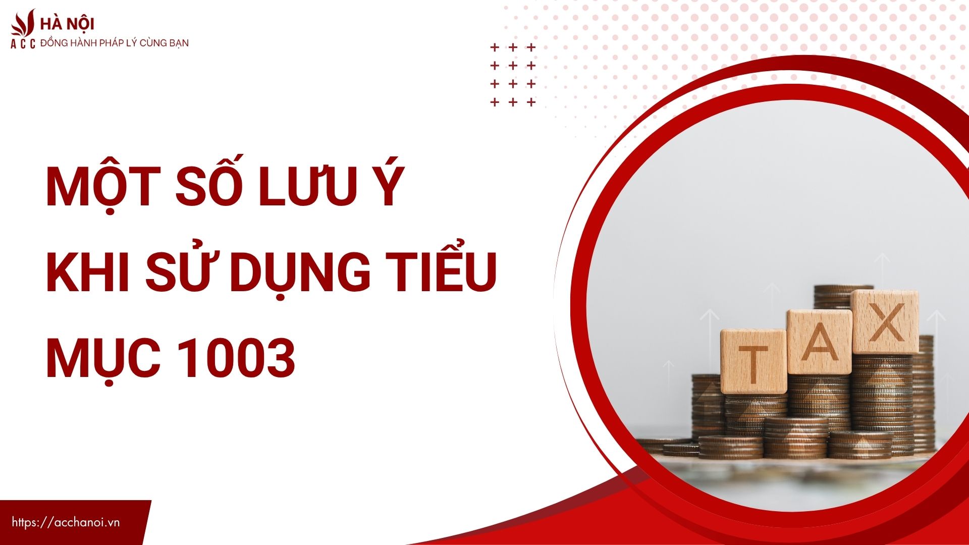 Một số lưu ý khi sử dụng tiểu mục 1003