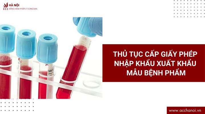 Dich vu trich luc khai sinh quan Hoang Mai 11