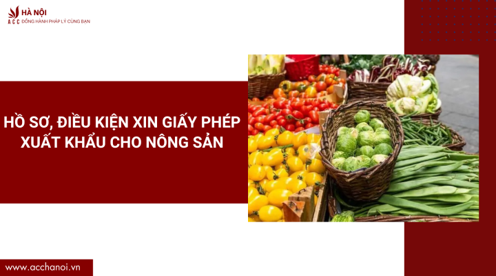 Dich vu trich luc khai sinh quan Tay Ho 12