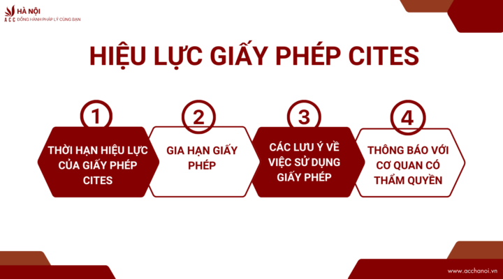Hieu luc xin giay phep CITES xuat khau