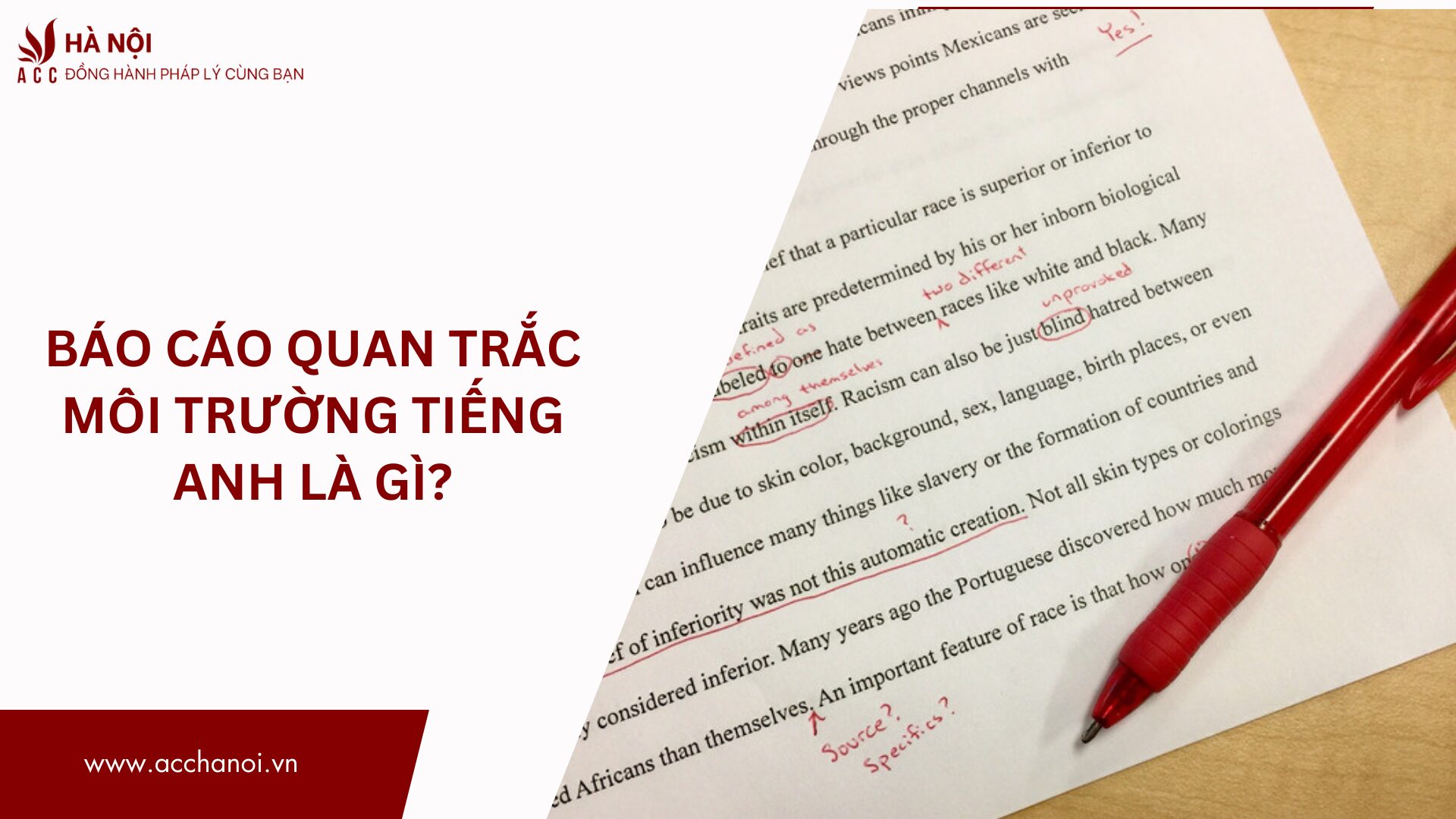 Bao cao quan trac moi truong tieng Anh la gi