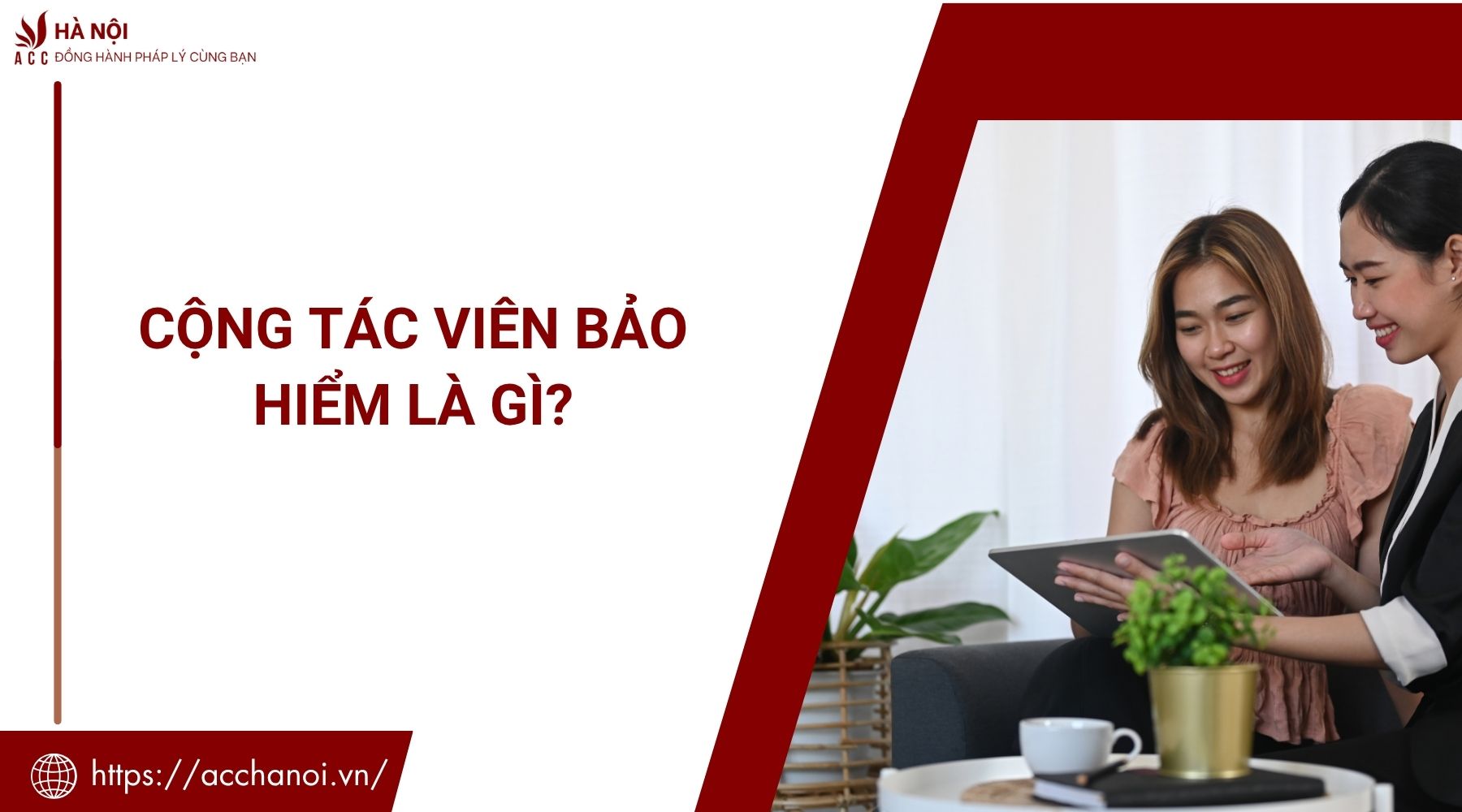 Cộng tác viên tiếng trung là gì?