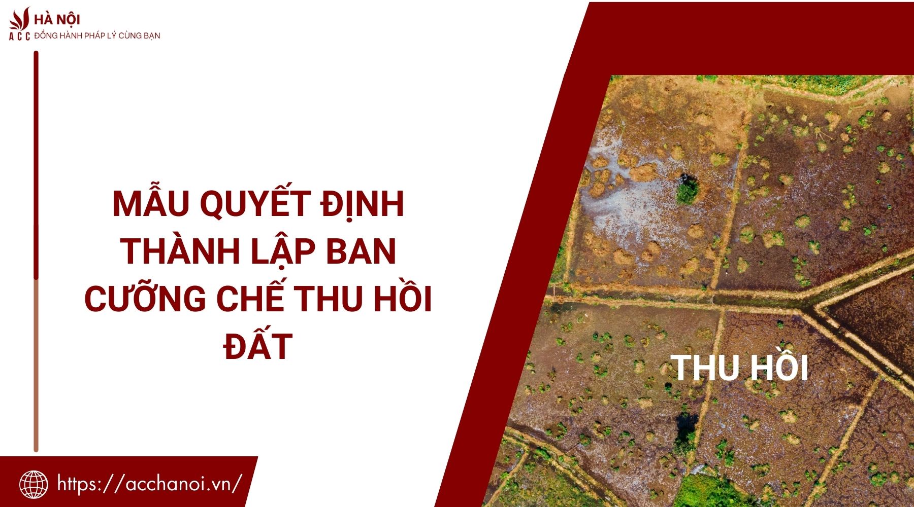 Mẫu quyết định thành lập ban cưỡng chế thu hồi đất