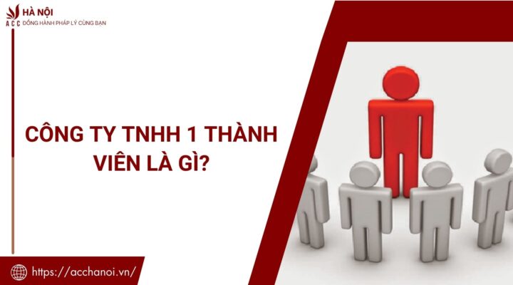 Công ty TNHH 1 thành viên là gì?
