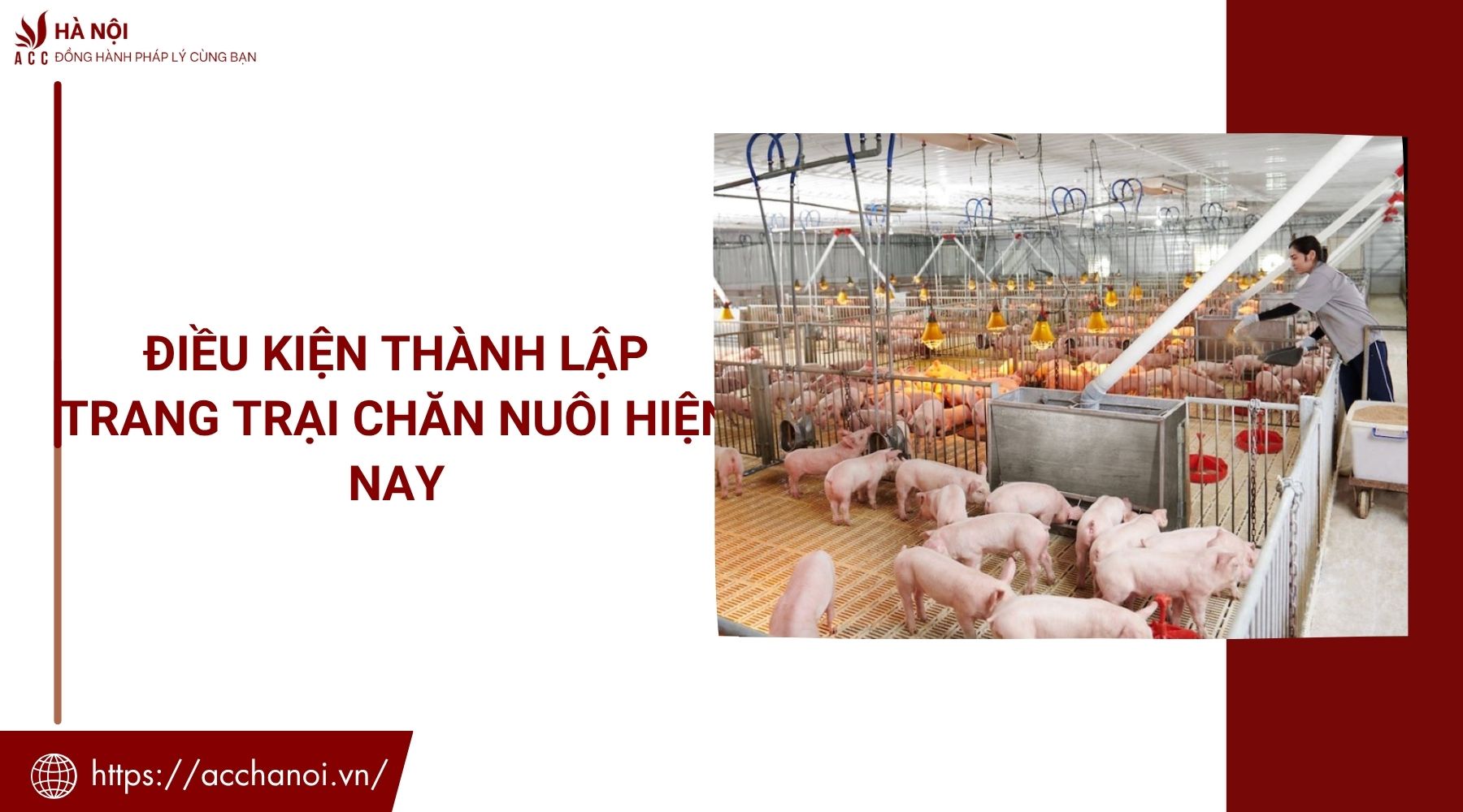 Điều kiện thành lập trang trại chăn nuôi hiện nay