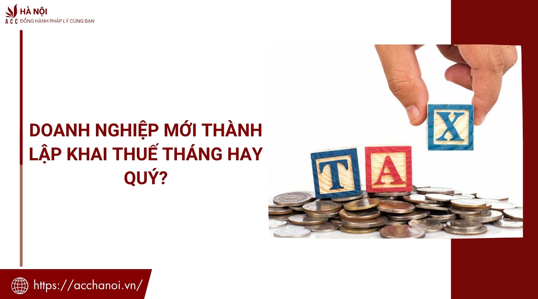 Doanh nghiệp mới thành lập khai thuế tháng hay quý?