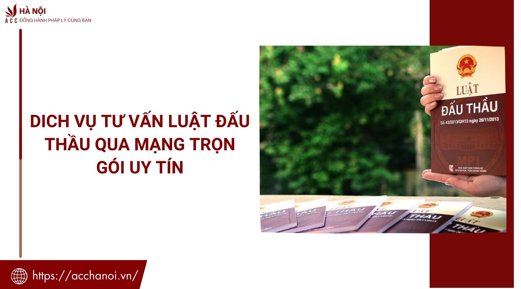 Dich vụ tư vấn luật đấu thầu qua mạng trọn gói uy tín