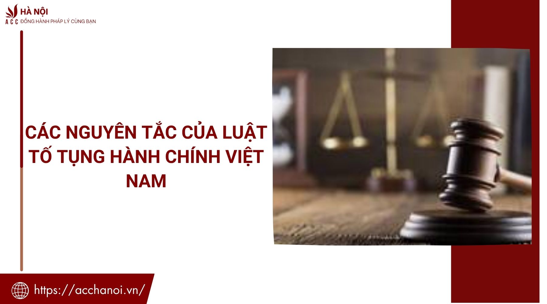 Các nguyên tắc của luật tố tụng hành chính Việt Nam