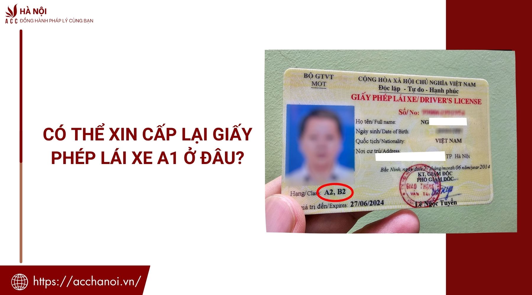 Có thể xin cấp lại giấy phép lái xe A1 ở đâu?
