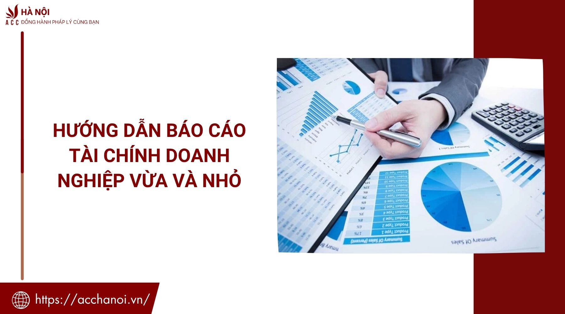 Hướng dẫn báo cáo tài chính doanh nghiệp vừa và nhỏ