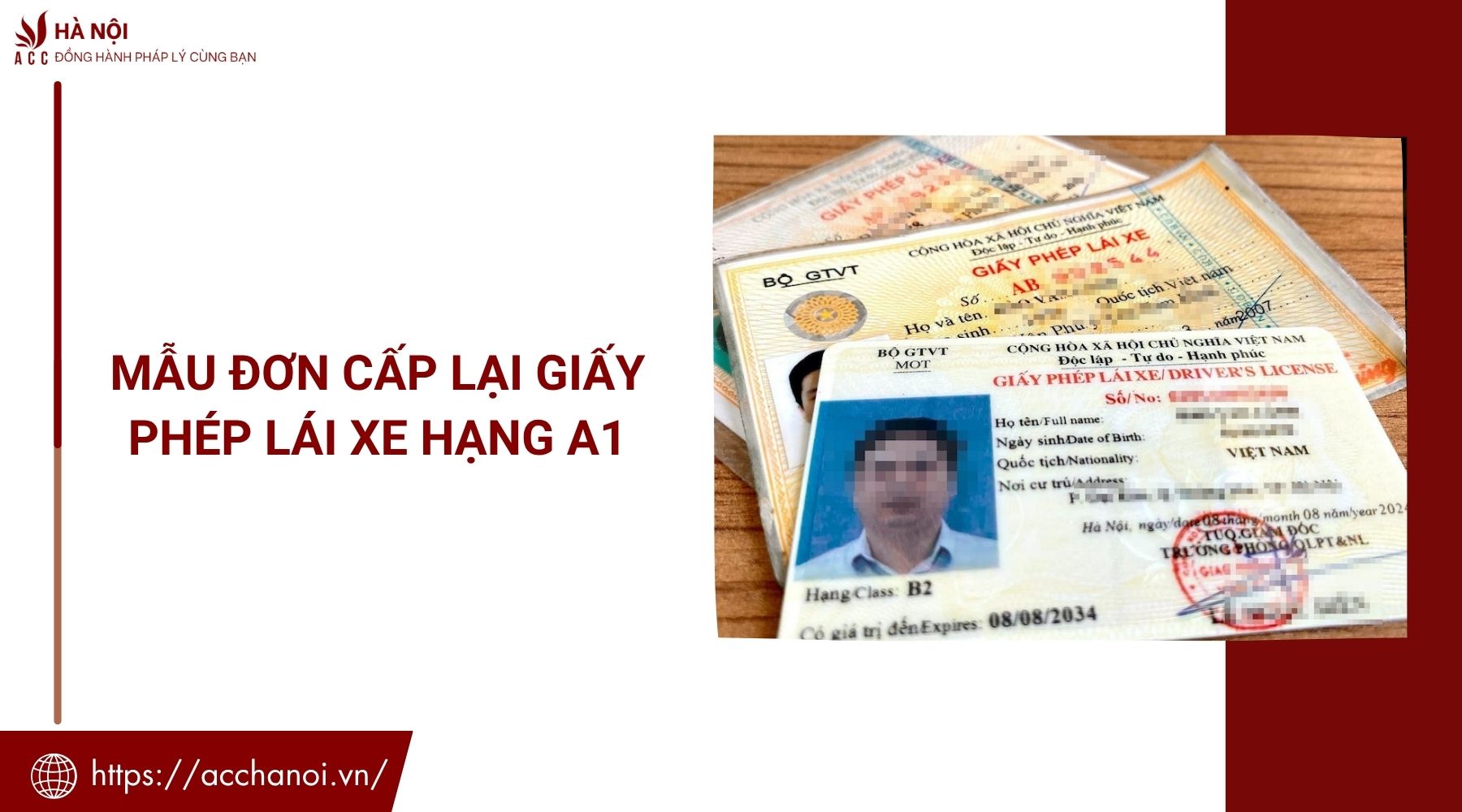 Mẫu đơn cấp lại giấy phép lái xe hạng A1