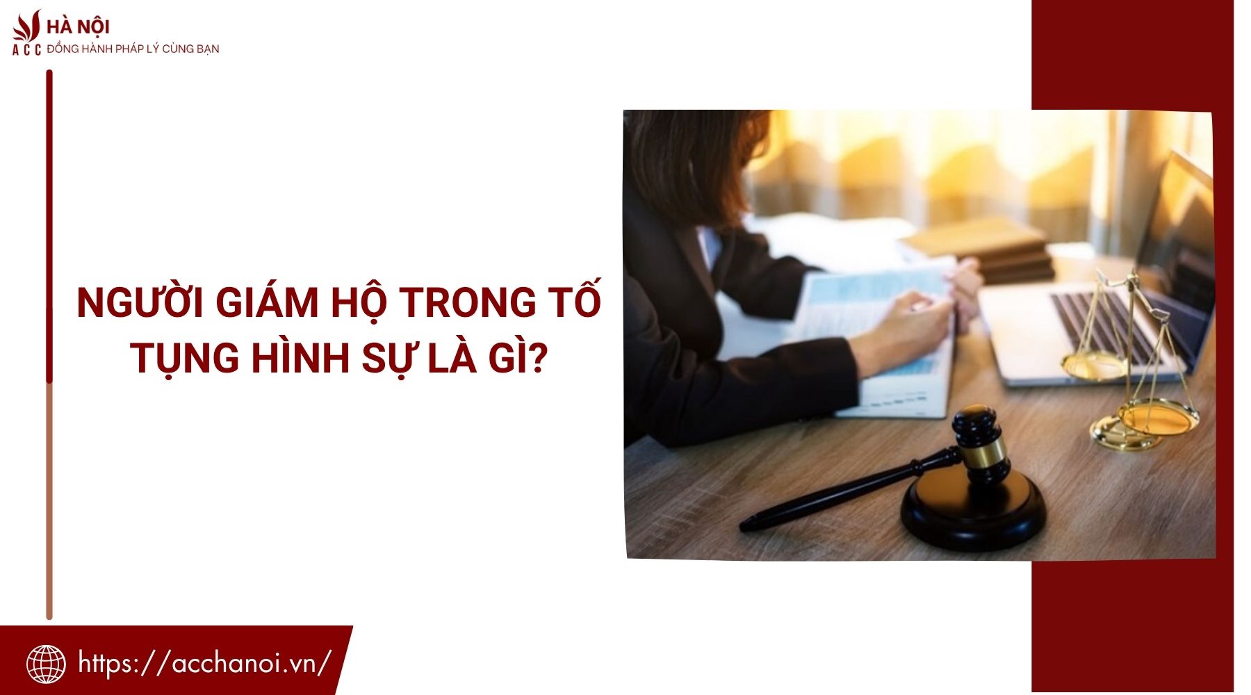 Người giám hộ trong tố tụng hình sự là gì?