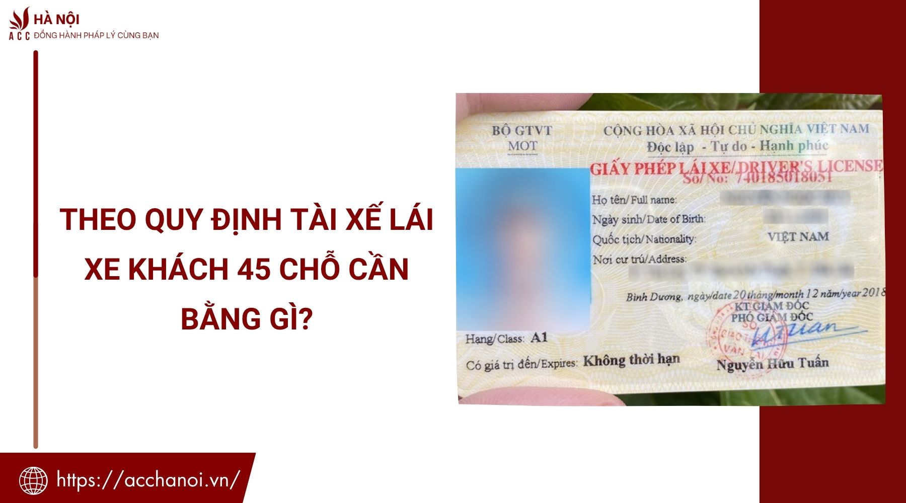 Theo quy định tài xế lái xe khách 45 chỗ cần bằng gì?