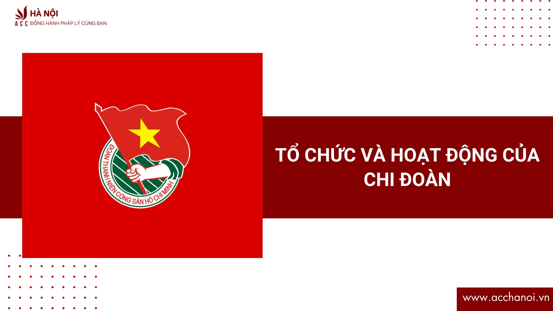 Tổ chức và hoạt động của Chi đoàn