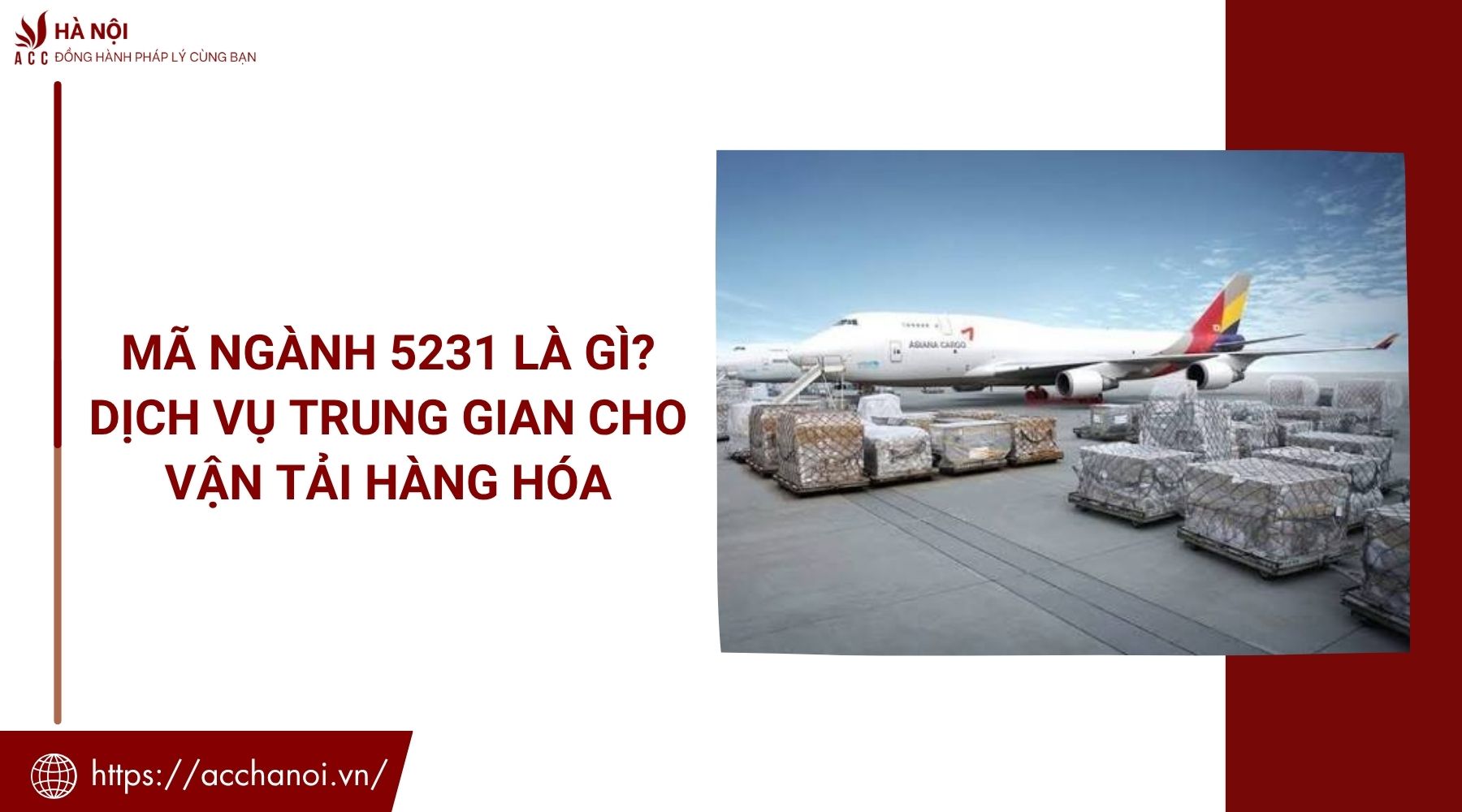 Mã ngành 5231 là gì? Dịch vụ trung gian cho vận tải hàng hóa
