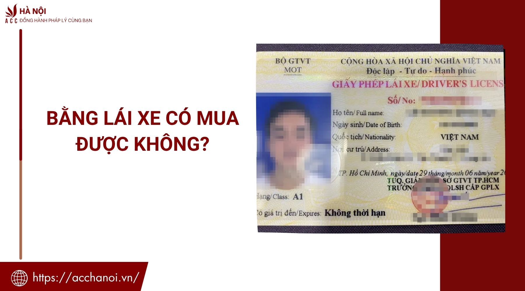 Bằng lái xe có mua được không?