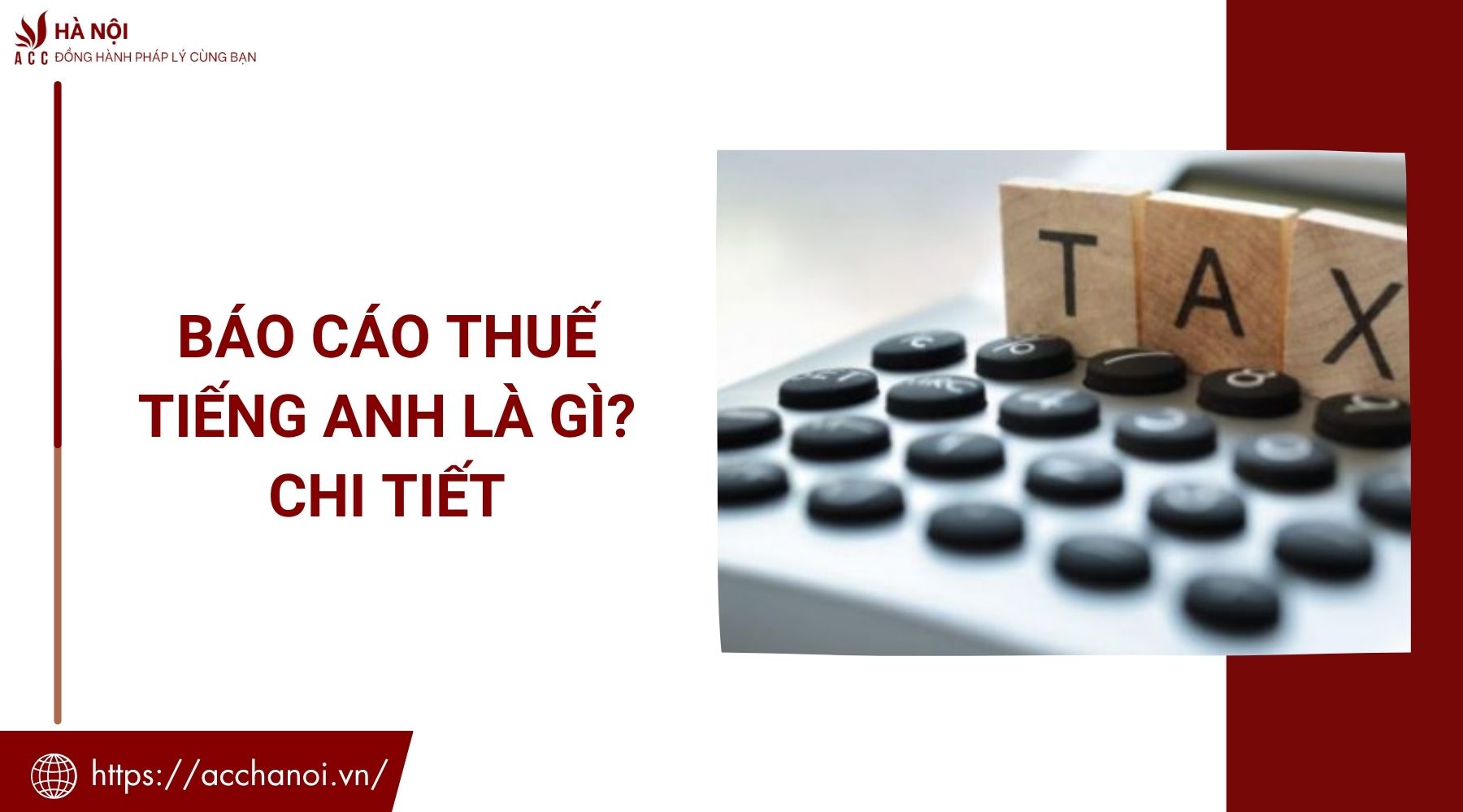 Báo cáo thuế tiếng Anh là gì? Chi tiết