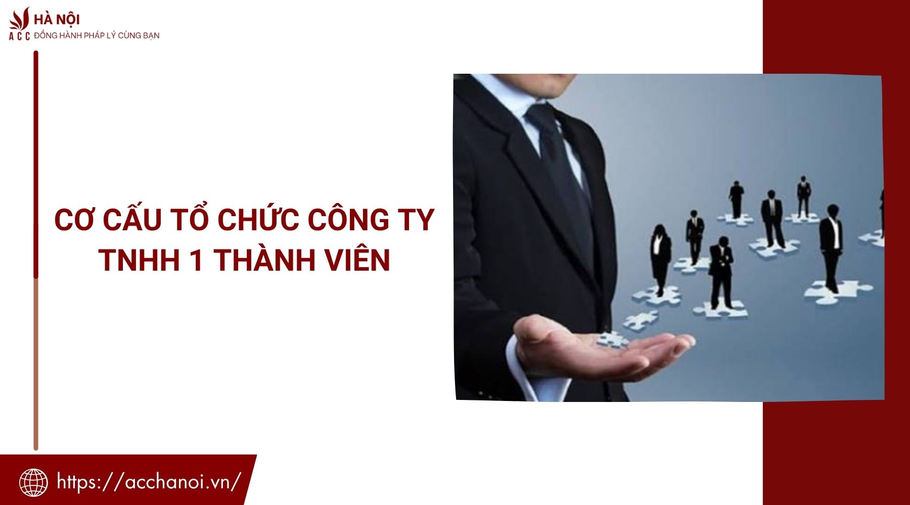 Cơ cấu tổ chức công ty TNHH 1 thành viên