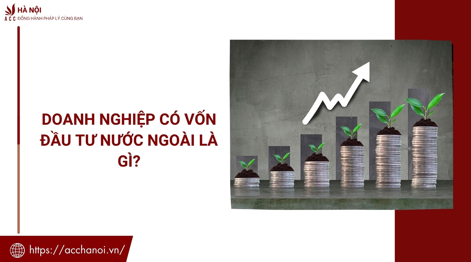 Doanh nghiệp có vốn đầu tư nước ngoài là gì?