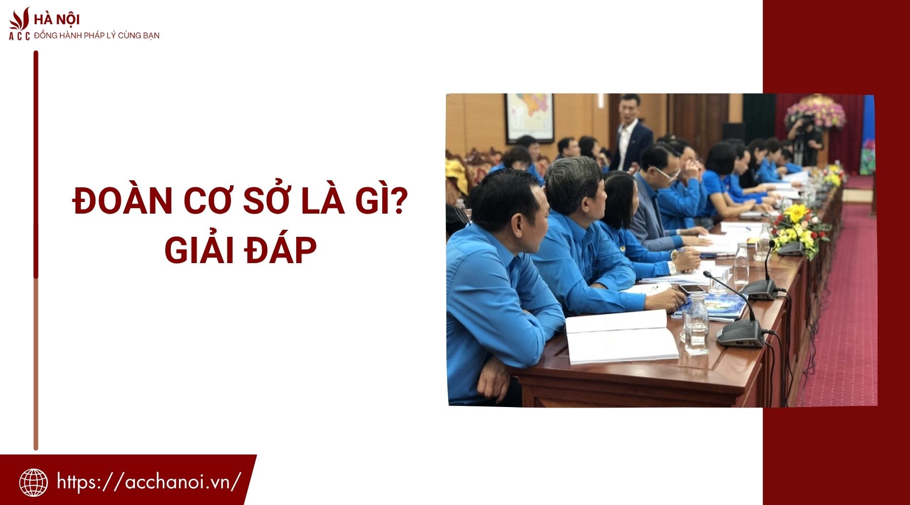 Đoàn cơ sở là gì? Giải đáp