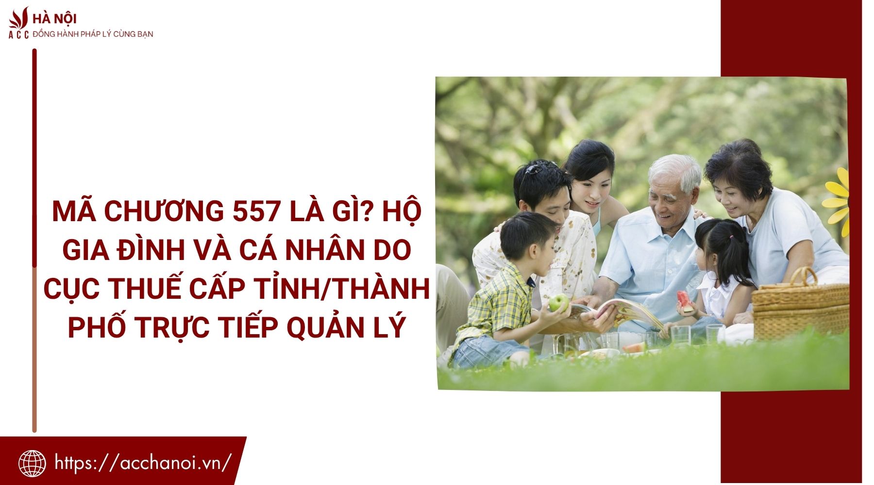 Mã chương 557 là gì? Hộ gia đình và cá nhân do Cục Thuế cấp tỉnh/thành phố trực tiếp quản lý