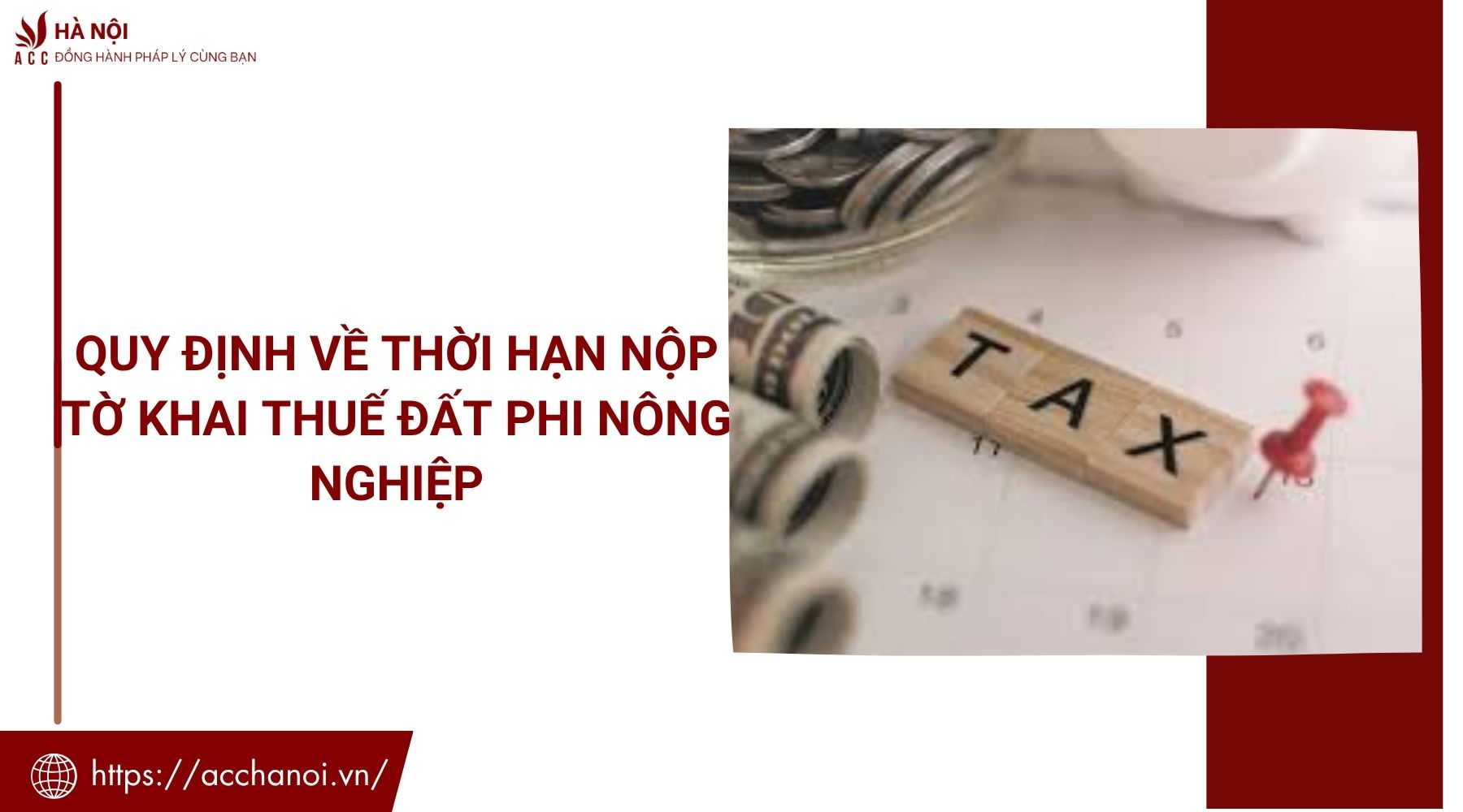 Quy định về thời hạn nộp tờ khai thuế đất phi nông nghiệp